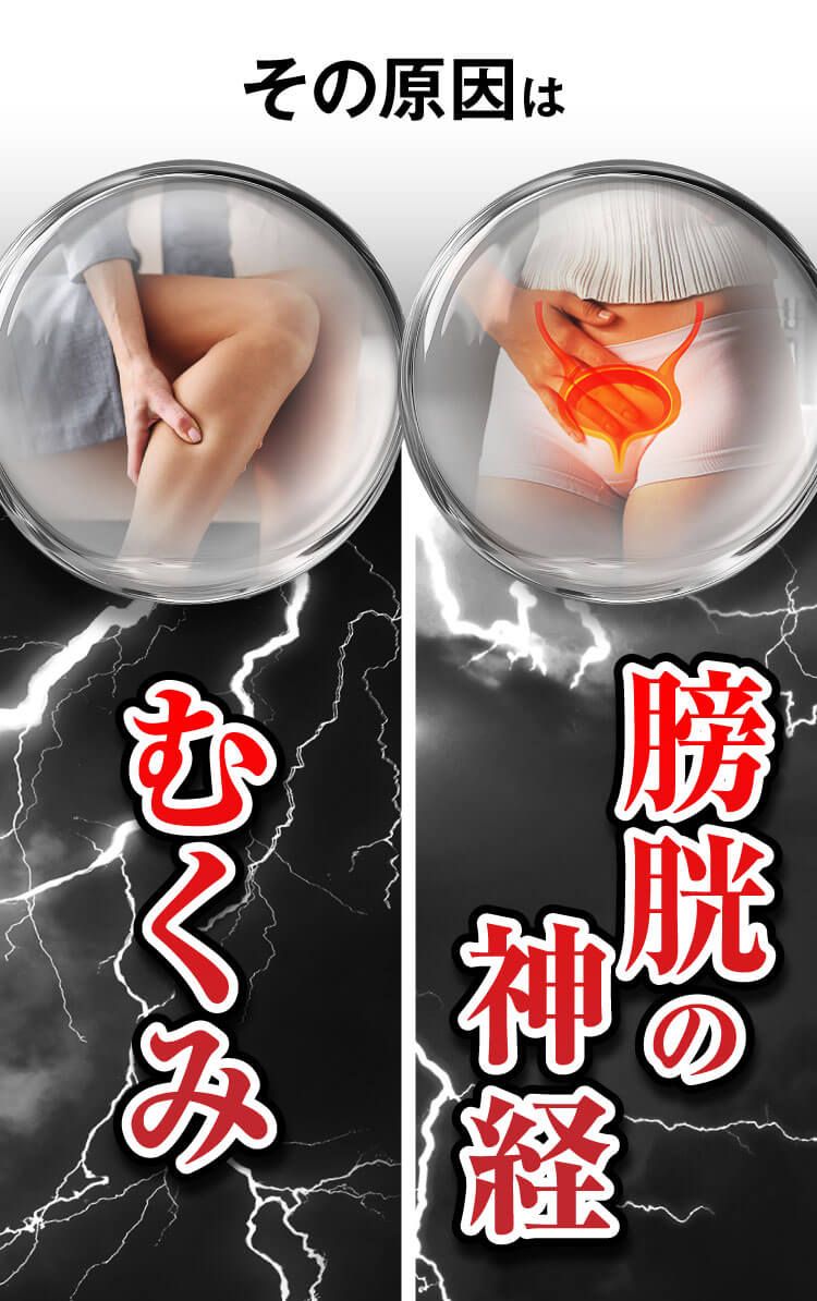 トメテル