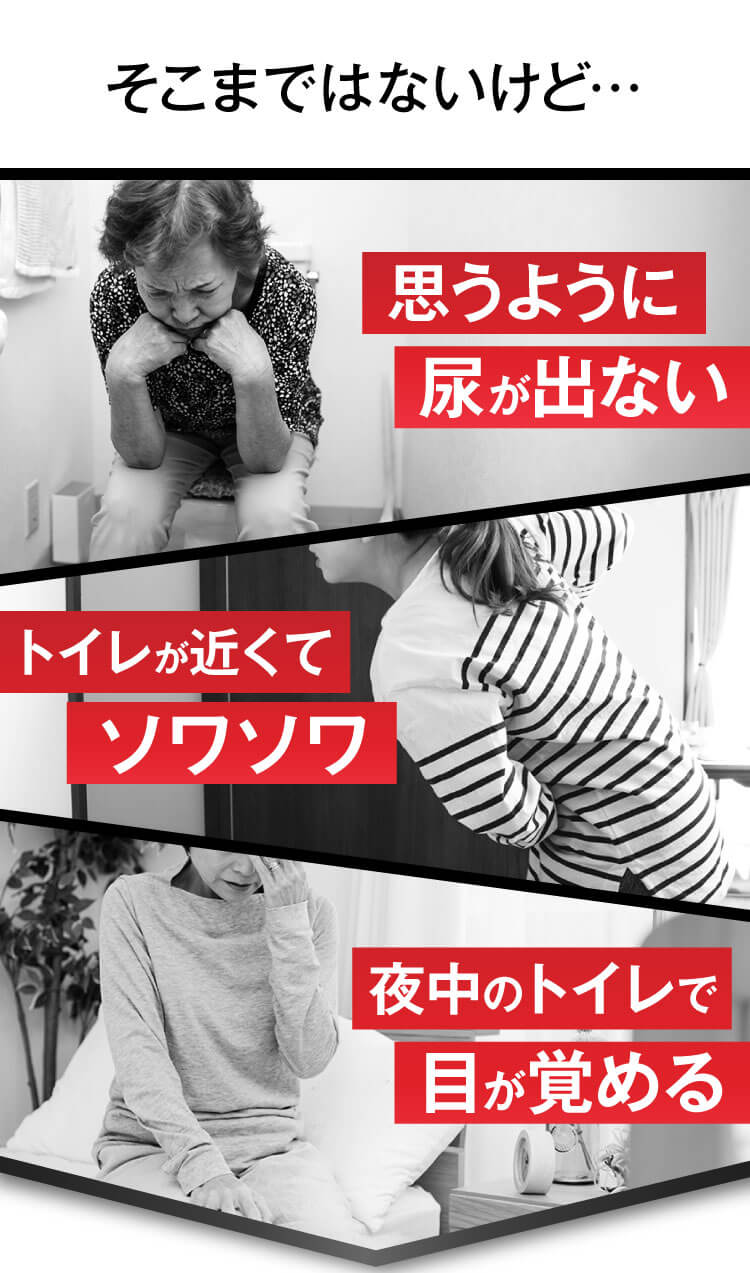 トメテル