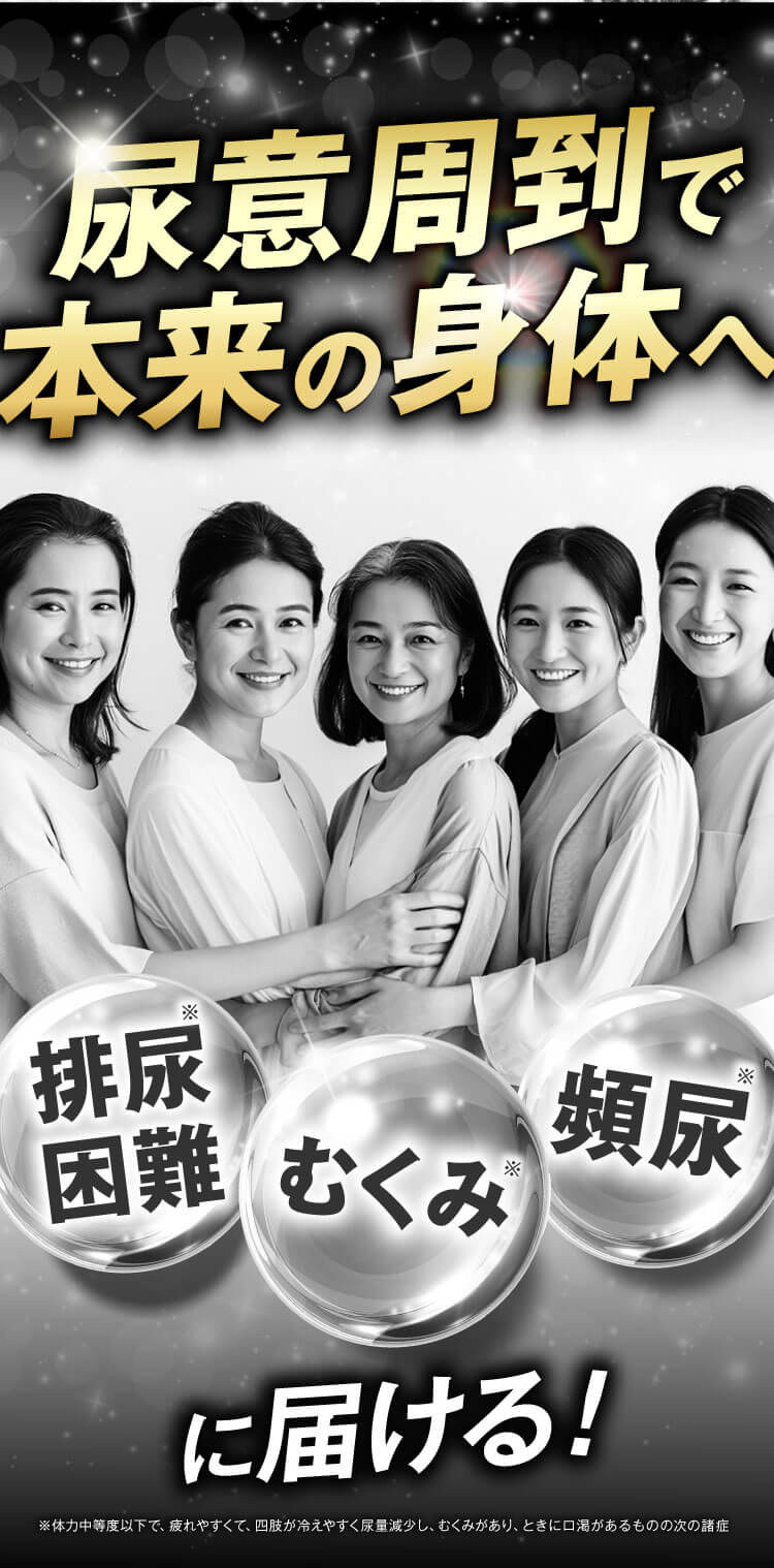 トメテル